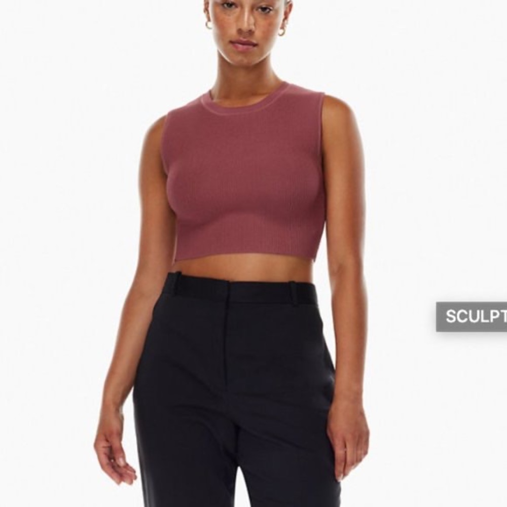 NWT Aritzia Babaton Sculpt Knit Muscle Tank in Sundried Red